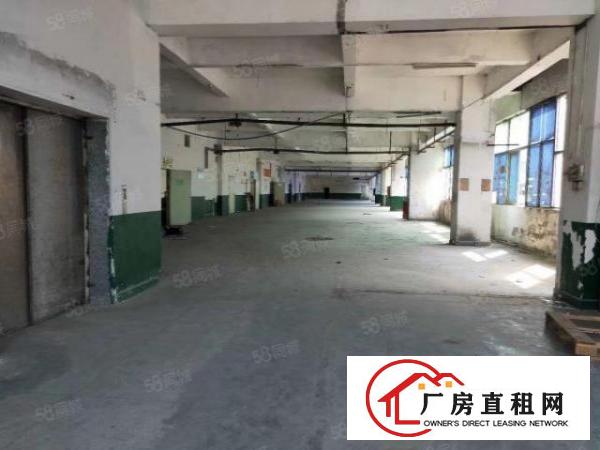  西乡钟屋带红本厂房仓库16层厂房仓库出租