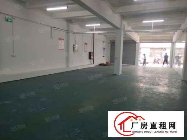  西乡黄田，一楼带精装修450平厂房，办公仓库出租，水电到位！