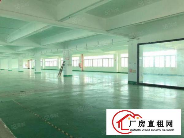  西乡九围鹤洲新出装修厂房80平180平至3000平大小可分租