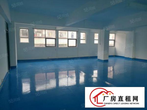  宝安西乡，宝运达物流园附近，超大园区，精装办公厂房263平。