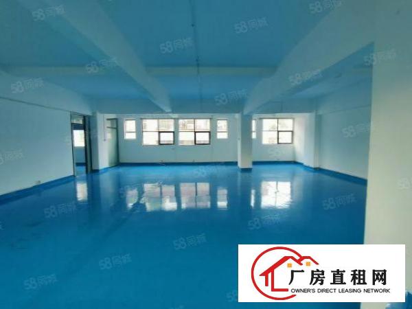  宝安西乡，宝运达物流园附近，超大园区，精装办公厂房263平。