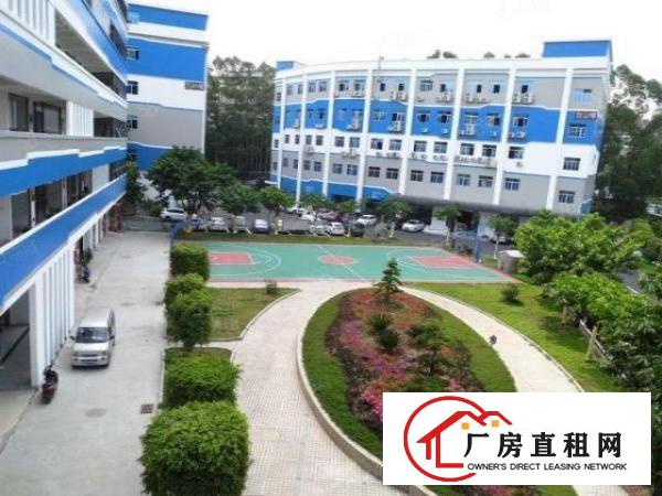  宝安西乡，宝运达物流园附近，超大园区，精装办公厂房263平。