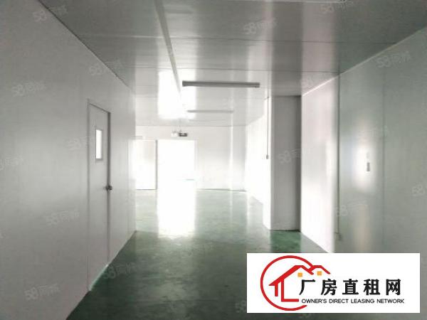  西乡，宝源路大型工业区附近，新出楼上420平带装修，无尘车间