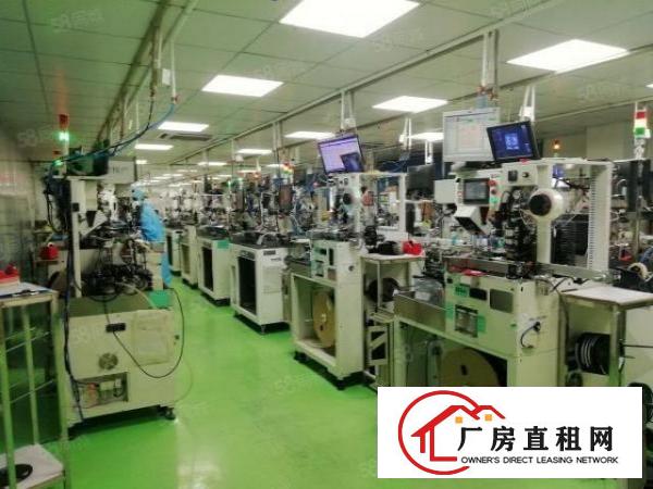  西乡鹤洲，洲石路新出2楼带装修500平厂房出租，水电到位