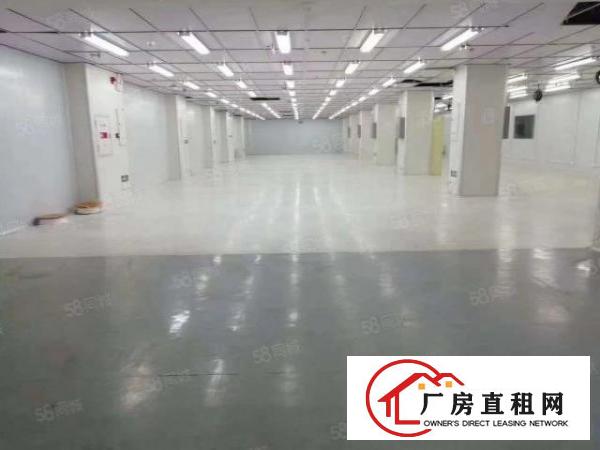  西乡宝田大型工业园厂房出租单层2600平开分1300平