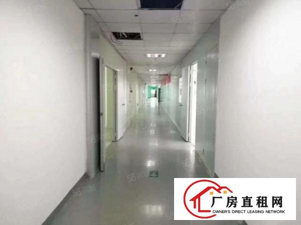  西乡宝田大型工业园厂房出租单层2600平开分1300平