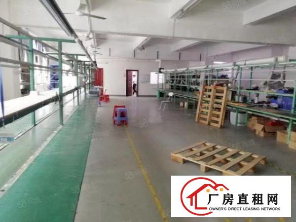  西乡，鹤洲，洲石路，楼上带精装修875平厂房出租！无需转让费