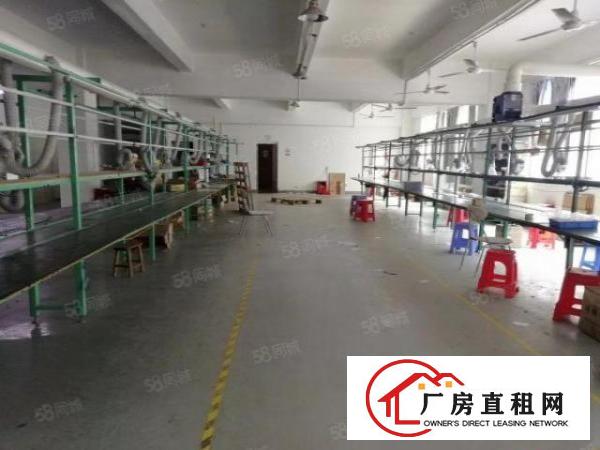  西乡，鹤洲，洲石路，楼上带精装修875平厂房出租！无需转让费