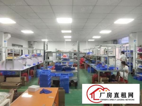  西乡宝运达附近，铁岗水库路边，新空出楼上精装修1300平出租
