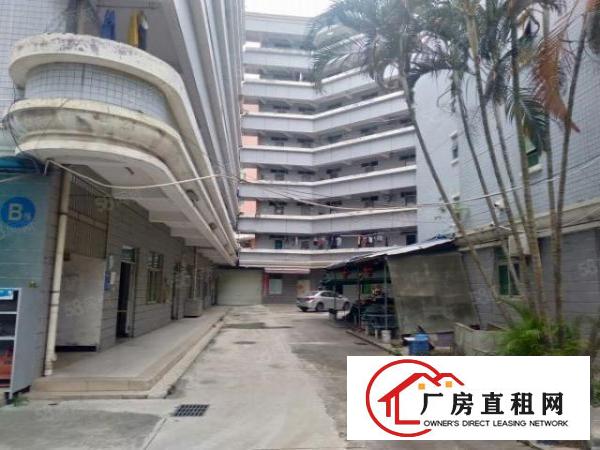  西乡前进二路原房东独门独厂房一楼2000平楼上1800