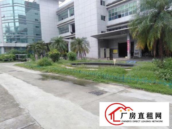  西乡前进二路原房东独门独厂房一楼2000平楼上1800