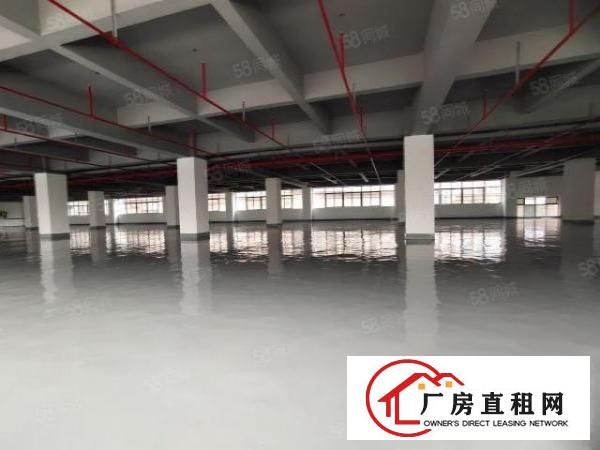  宝安西乡地铁站附近，楼上1800平精装厂房，带吊机口，一手租