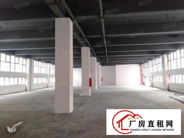  西乡宝运达工改写字楼租金33带基础装修，适合办公仓库使用