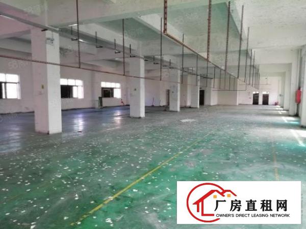  西乡，广深公路，固戍大门附近，楼上整层带装修966平厂房出租