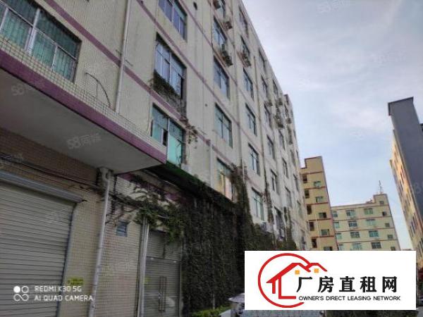  固戍宝源路边大型工业园100至2800平带装修厂房业主直租
