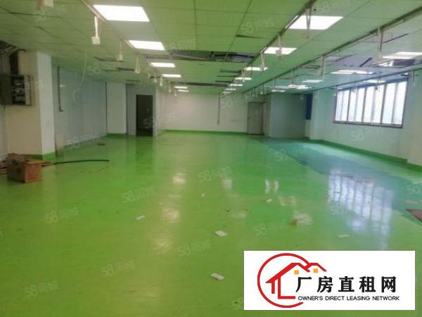  西乡，鹤洲，洲石路，新出楼上带装修500平厂房出租，水电齐全