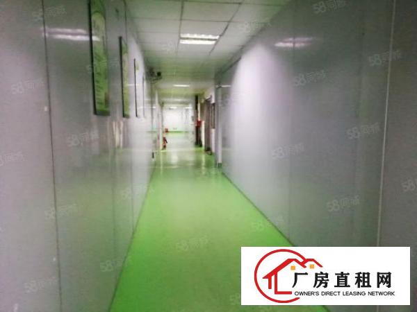  西乡，鹤洲，洲石路，新出楼上带装修500平厂房出租，水电齐全
