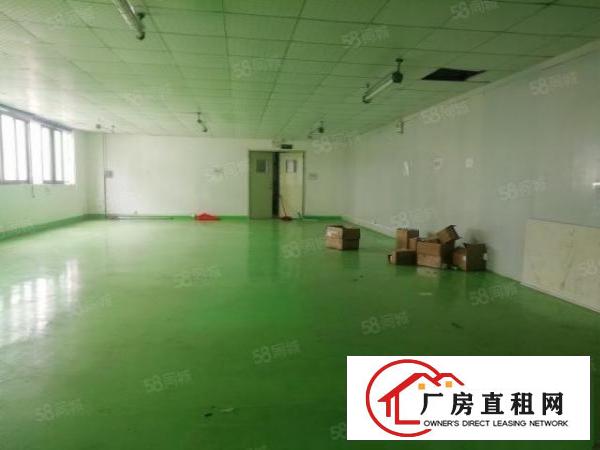  西乡，鹤洲，洲石路，新出楼上带装修500平厂房出租，水电齐全