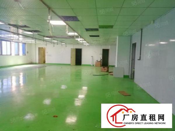  西乡，鹤洲，洲石路，新出楼上带装修500平厂房出租，水电齐全
