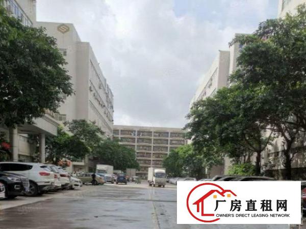  黄田厂房|光电产业园1600平精装修靠窗|物业急转|车位充足