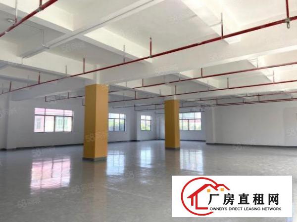 西乡街道临近地铁口新出600平无尘车间，精装修，随时看房！