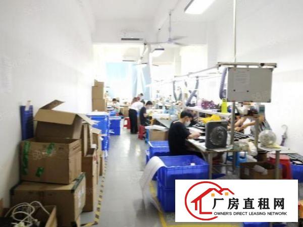  西乡，黄田，靠近107国道旁，新出楼上厂房350平，带精装修