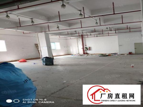  宝安高速口无中介费300平仓库带办公室