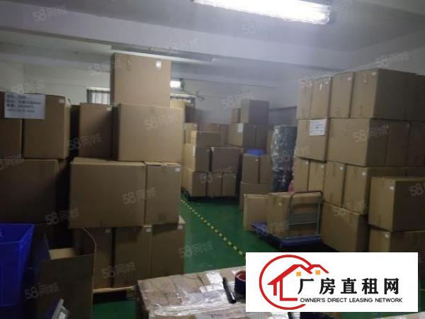  西乡，宝运达物流中心，附近工业区楼上带精装修870平厂房。