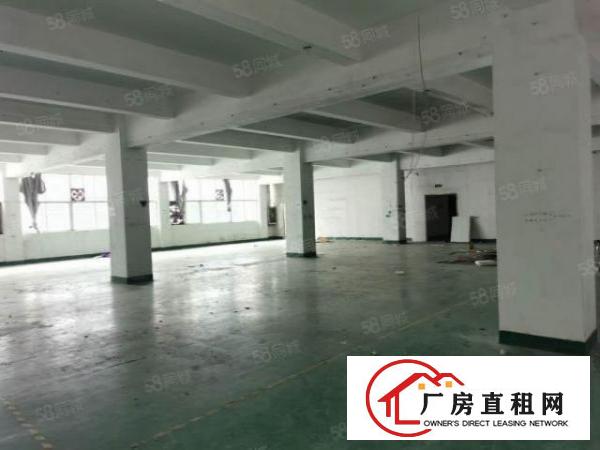  西乡固戍宝安大道原房东精装修1150平米出租
