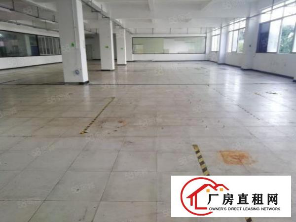  西乡，洲石路，鹤洲，245平起租至3600平，带装修厂房出租