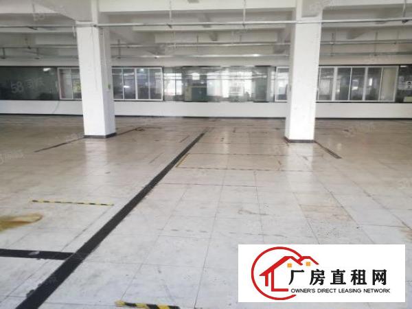  西乡，洲石路，鹤洲，245平起租至3600平，带装修厂房出租