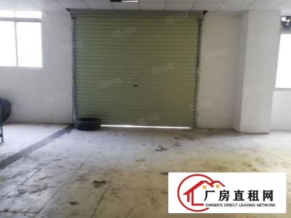  西乡，洲石路，鹤洲，245平起租至3600平，带装修厂房出租