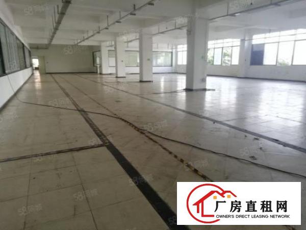  西乡，洲石路，鹤洲，245平起租至3600平，带装修厂房出租