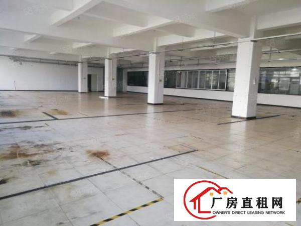  西乡，洲石路，鹤洲，245平起租至3600平，带装修厂房出租