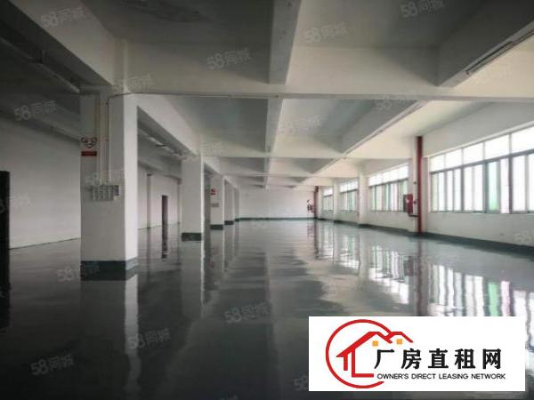  西乡固戍带装修厂房，可厂可办可仓库