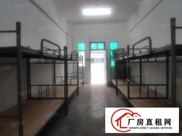  西乡集体职工宿舍出租拎包入住