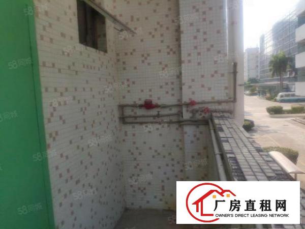  西乡集体职工宿舍出租拎包入住
