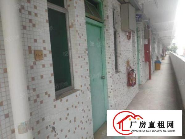  西乡集体职工宿舍出租拎包入住
