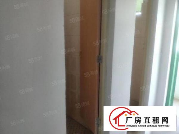 西乡集体职工宿舍出租拎包入住