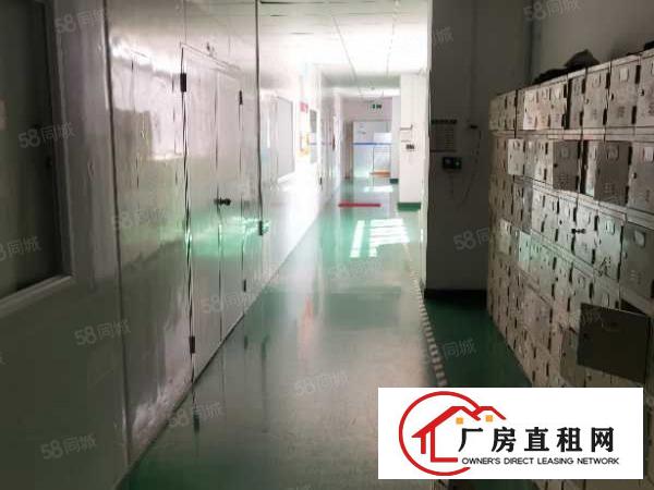  西乡大道新出工业区无尘厂房精装修8成使用率价格好谈！