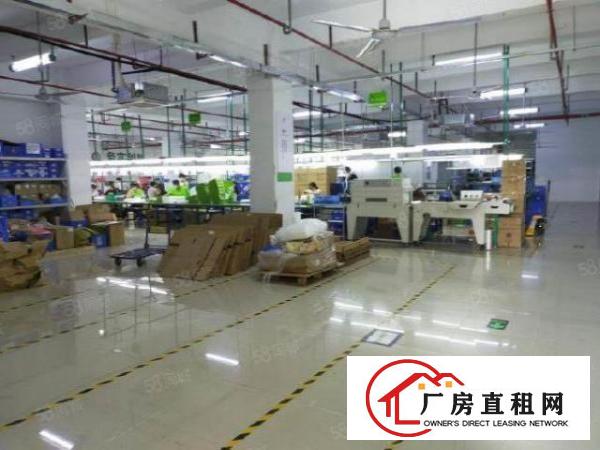  西乡固戍航空路原房东厂房精装修2000平米