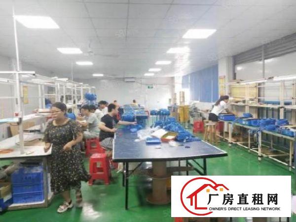  西乡鹤洲楼上900平精装修厂房出租
