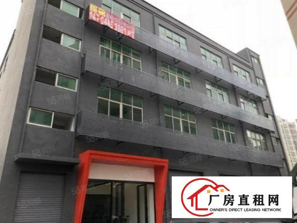  西乡厂房仓库办公室直租小面积办公室带隔间70平起租