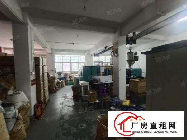  西乡簕竹角，洲石路，新出一楼带装修680平厂房出租，租金33