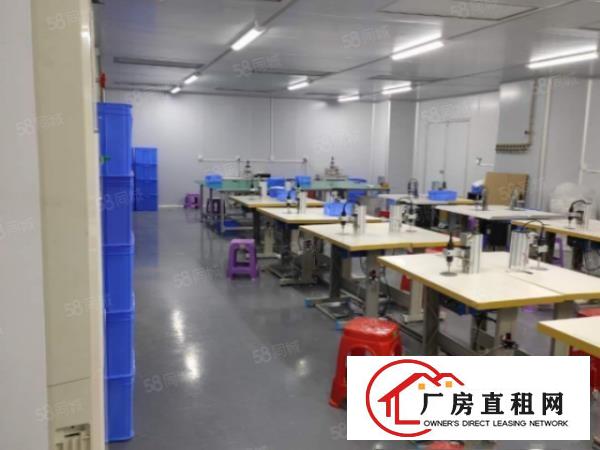  西乡新出700平厂房中心位置交通方便，业主急租