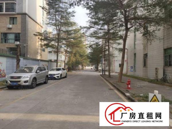  西乡，前进二路旁大型工业区新出楼上精装修900平厂房。