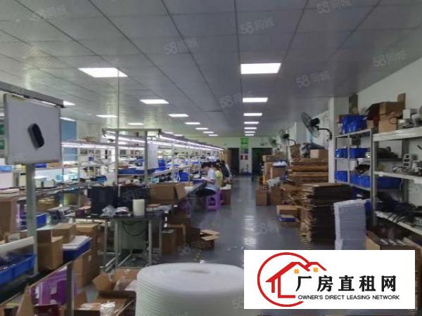  固戍朱坳工业园5楼1000平带精装修厂房一手房东直租