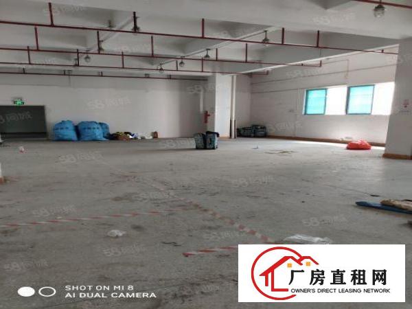  西乡宝运达350平价格超优惠交通超便利