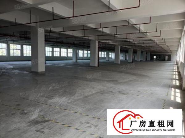  西乡黄田大型红本厂房3200平出租，原房东，面积足