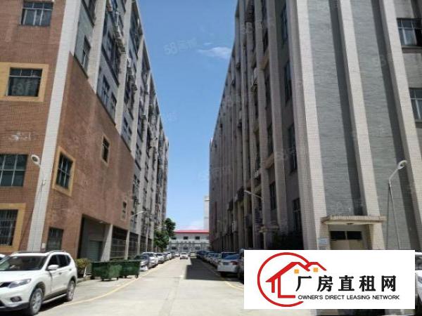  西乡黄田大型红本厂房3200平出租，原房东，面积足
